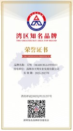 湾区知名品牌证书